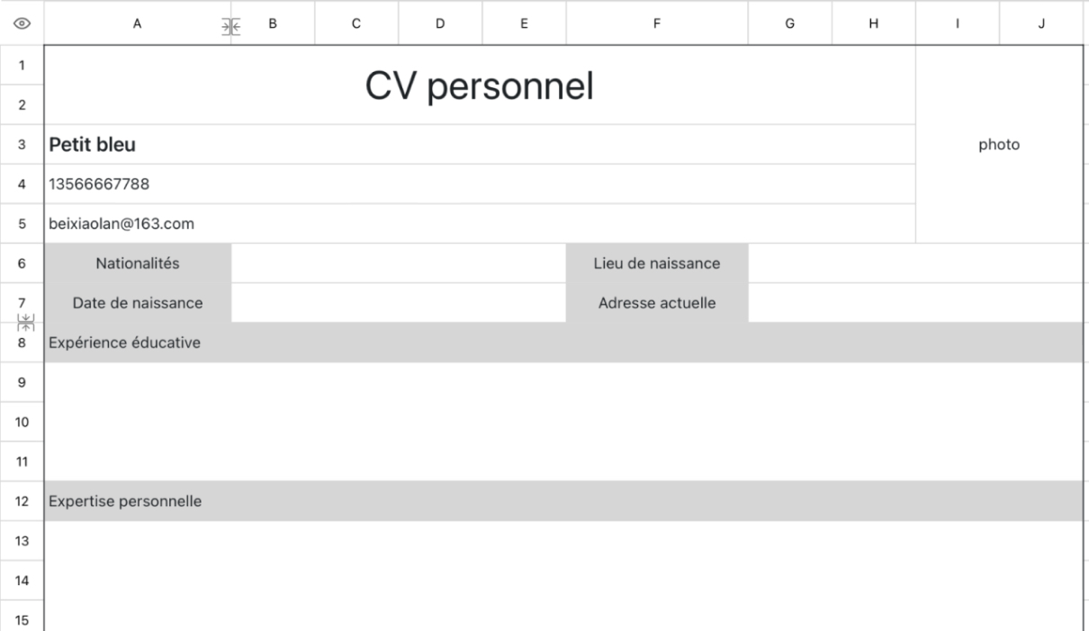 Résumé personnel gris clair